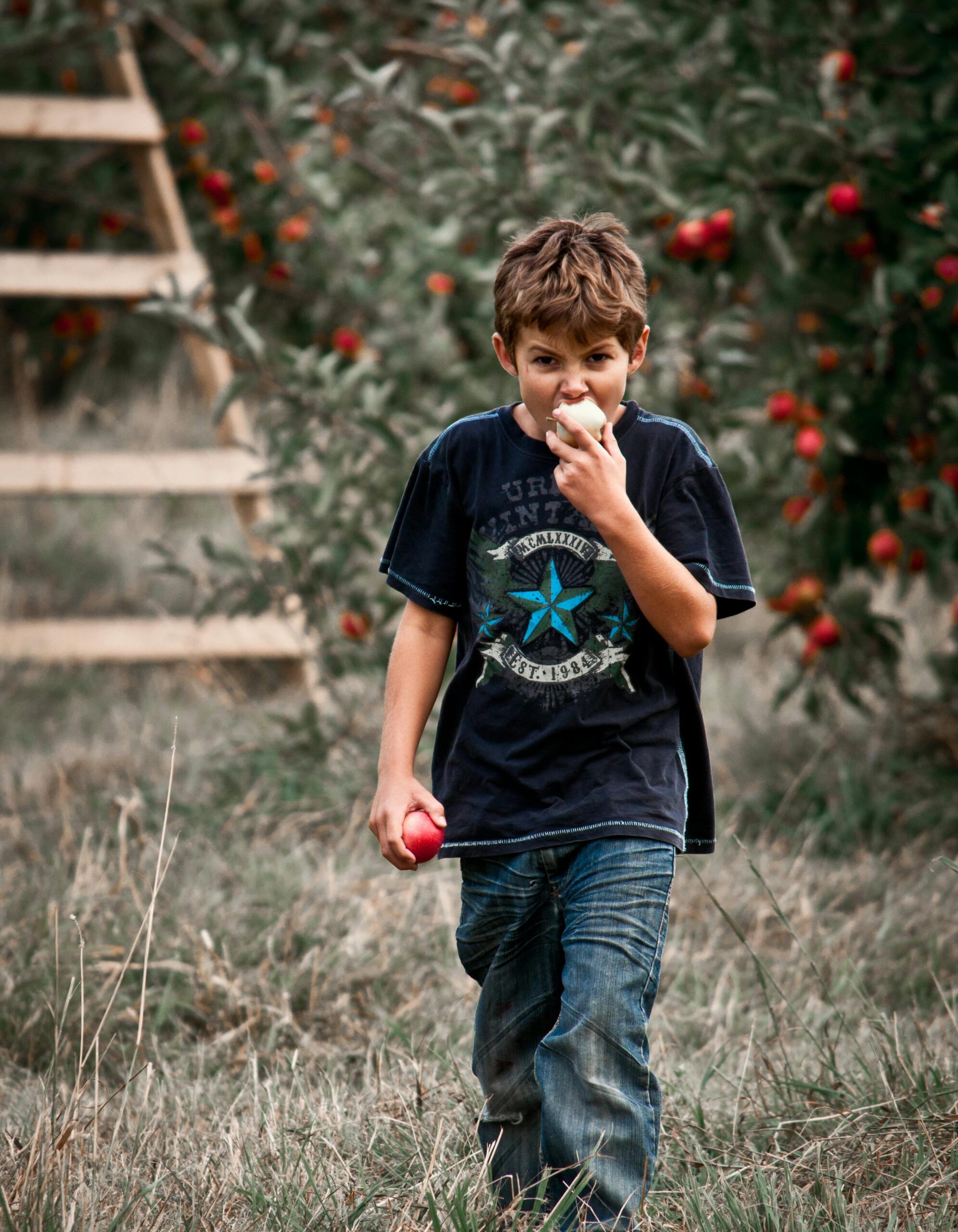 Young boy eating an apple in a lush orchard on a sunny day, embodying leisure and nature.