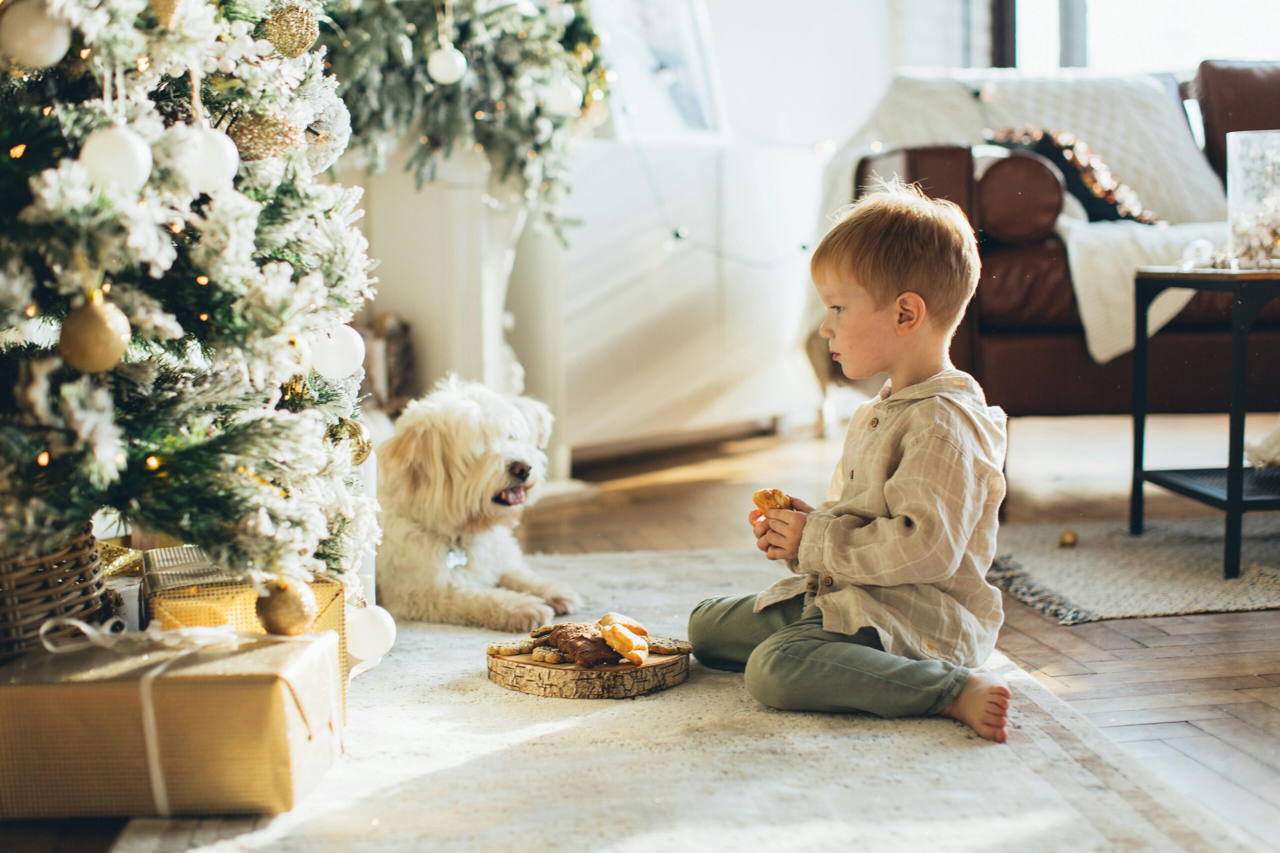Child and dog enjoying Christmas together indoors next to a beautifully decorated tree.