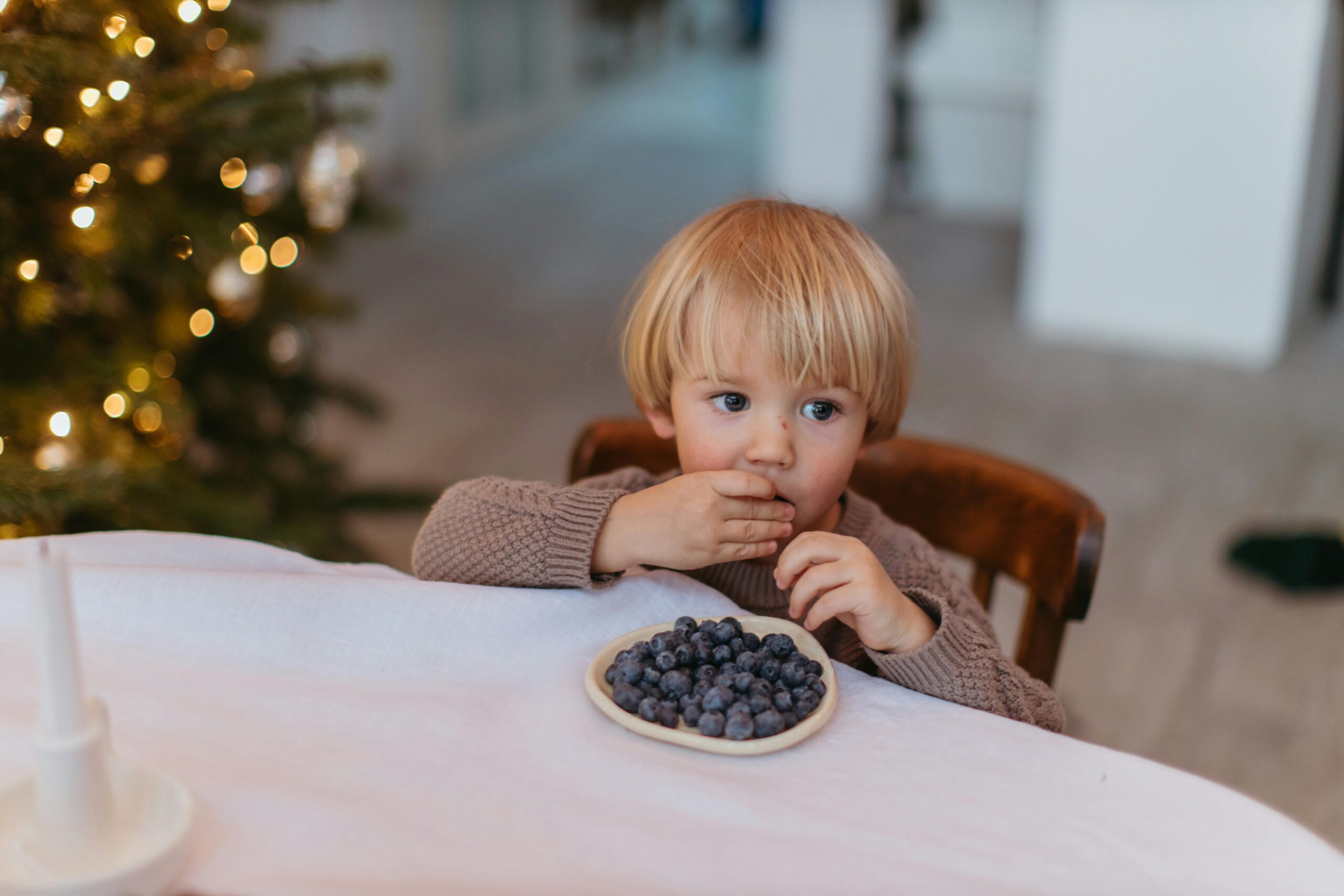 A young child eating blueberries at a festive table near a Christmas tree.