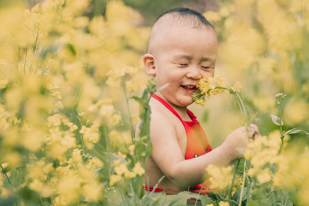 child, boy, flower background, flowers, meadow, cute, kid, beautiful flowers, nature, young, childhood, baby, toddler, flower wallpaper, posing, portrait